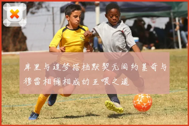 库里与追梦搭档默契无间约基奇与穆雷相辅相成的互喂之道