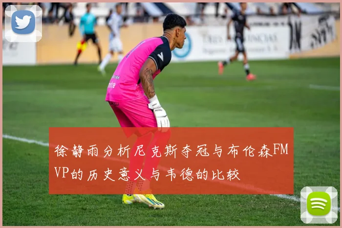 徐静雨分析尼克斯夺冠与布伦森FMVP的历史意义与韦德的比较